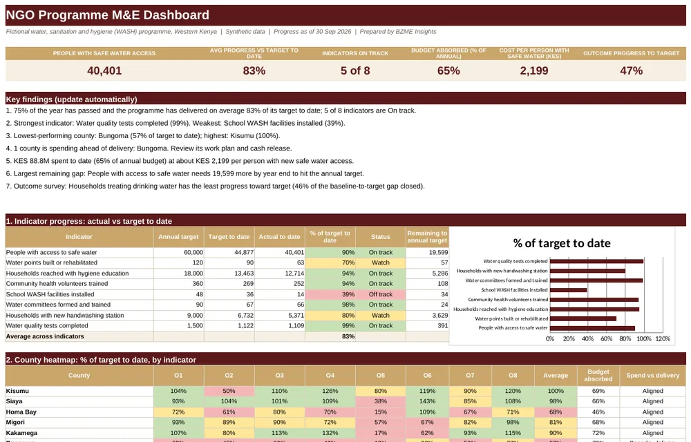 Dashboard screenshot: NGO Programme M&E Dashboard